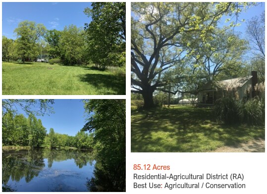 More Photos Of 36299 Finger Rd, Mount Pleasant Land For Sale