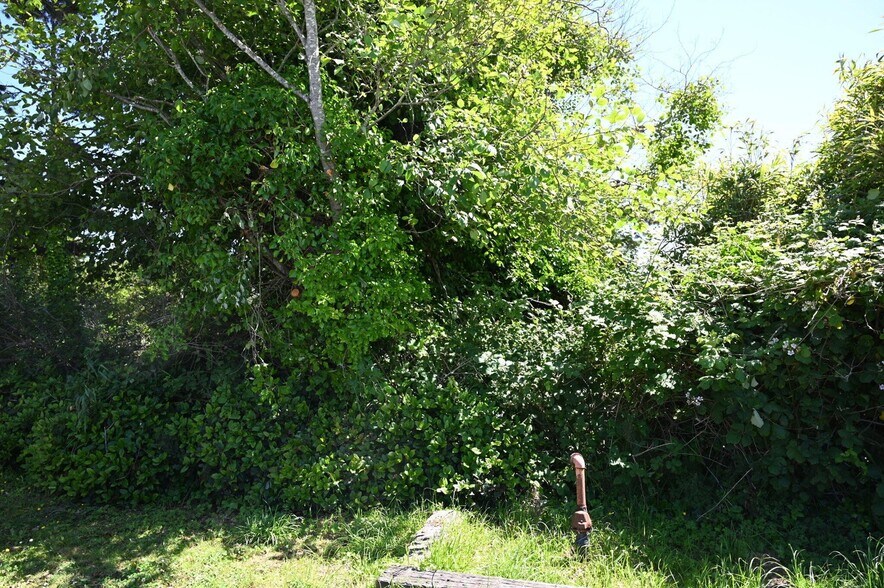 More Photos Of 400 Highway 101, Rockaway Beach Land For Sale