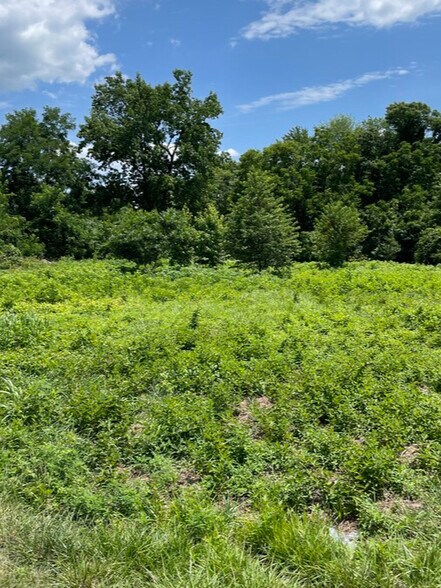 More Photos Of 8451 Quarry Rd, Manassas Land For Lease