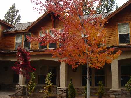 More Photos Of 937 Tahoe Blvd, Incline Village Office For Lease