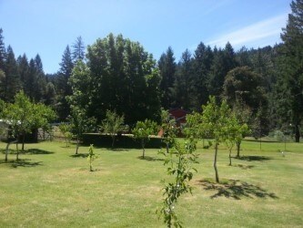 More Photos Of 60104 Gordons Ferry Rd, Happy Camp Land For Sale