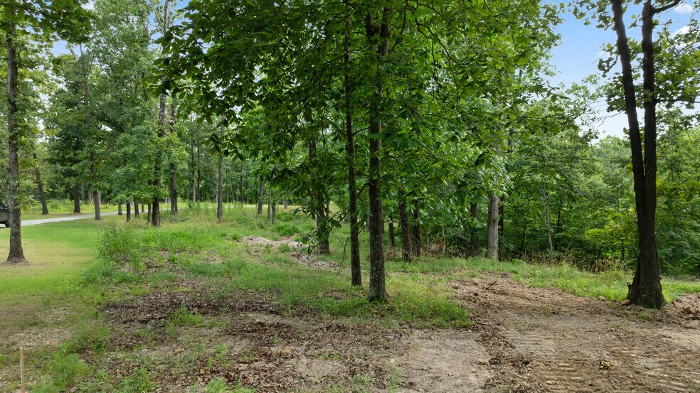 More Photos Of Esculapia Hollow Rd, Rogers Land For Sale