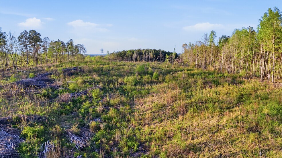 More Photos Of 0 Highway 269, Parrish Land For Sale