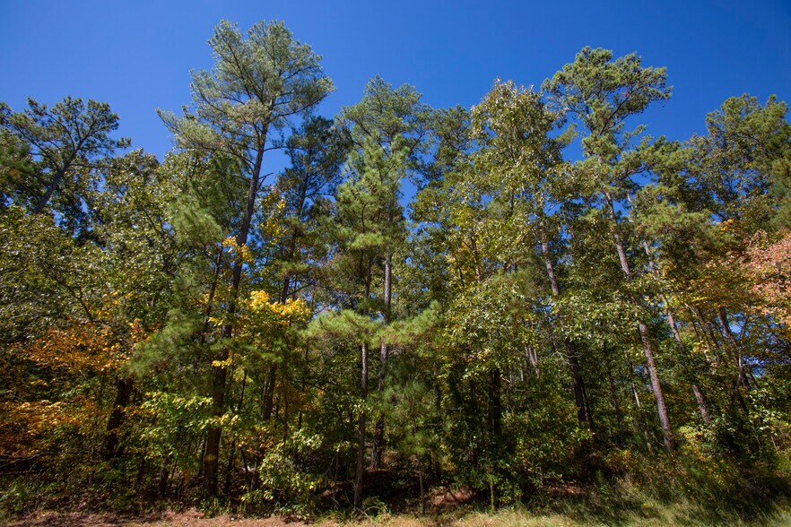 More Photos Of Walter Bright Road & 15-501, Sanford Land For Sale