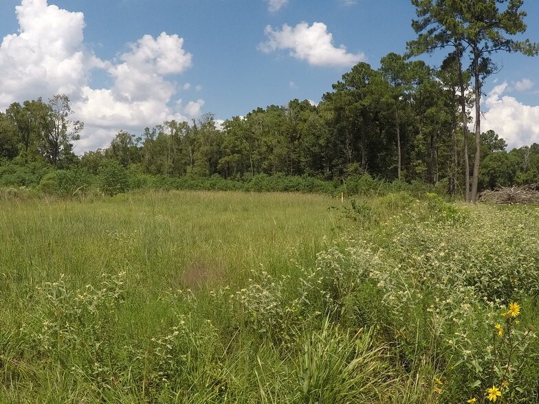 More Photos Of 7886 Fm 1960 Rd, Dayton Land For Sale