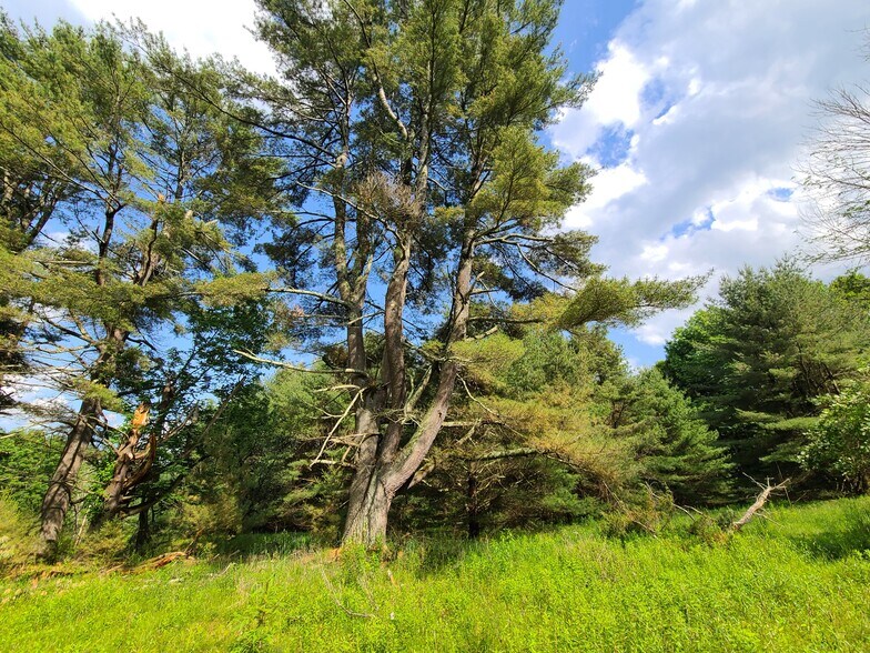 More Photos Of 1195 State Route 17B, Bethel Land For Sale