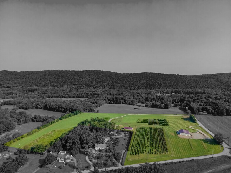 More Photos Of 596 Harman Rd, Halifax Winery Vineyard For Sale