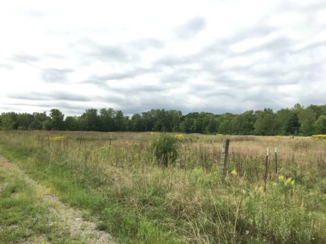 More Photos Of Oakville Waltz Rd, Ash Twp Land For Sale