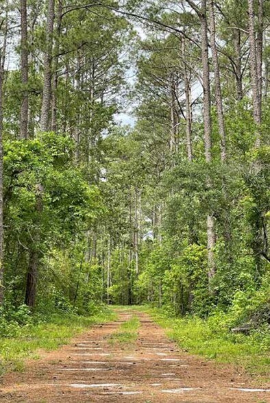 More Photos Of Castle Hayne Rd, Castle Hayne Land For Sale