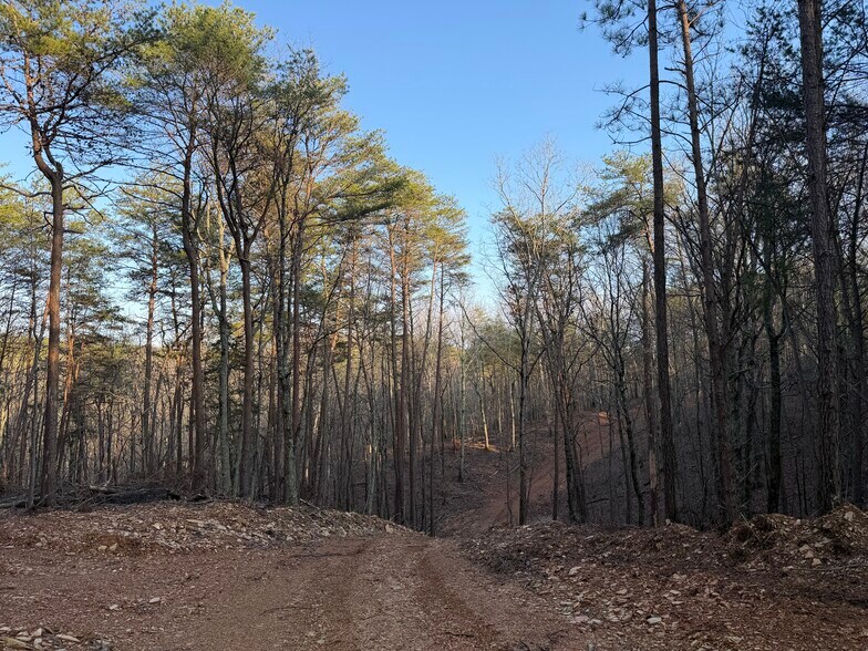More Photos Of 260 Arnold Rd NE, Fairmount Land For Sale