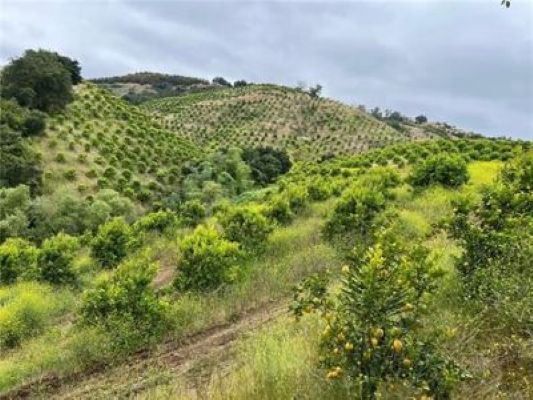 More Photos Of 0 Avenida Tierra, Temecula Land For Sale