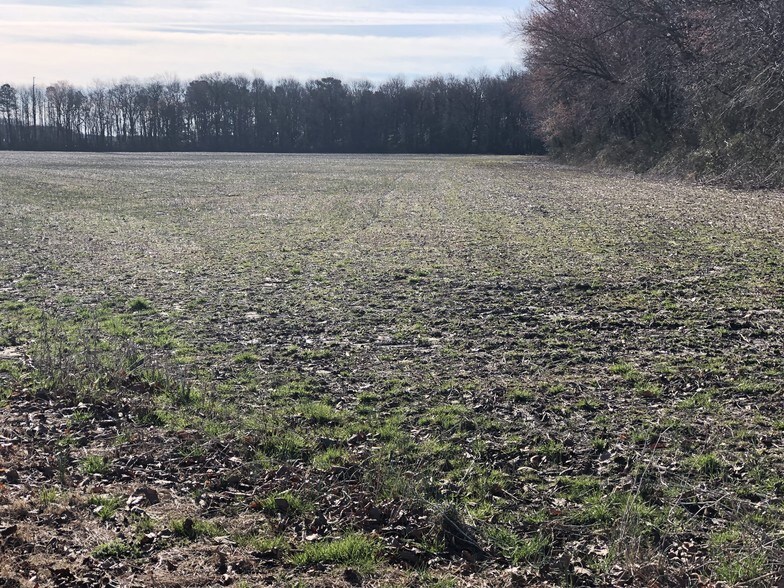 More Photos Of Route 113 & McCabe Rd, Selbyville Land For Sale