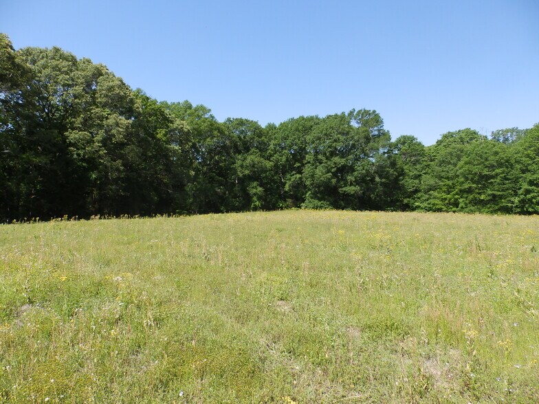 More Photos Of 3168 US Highway 175, Frankston Land For Sale