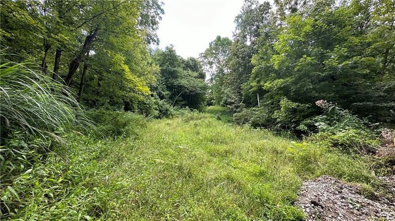 More Photos Of Lot 1 Low Hill Rd, Brownsville Land For Sale