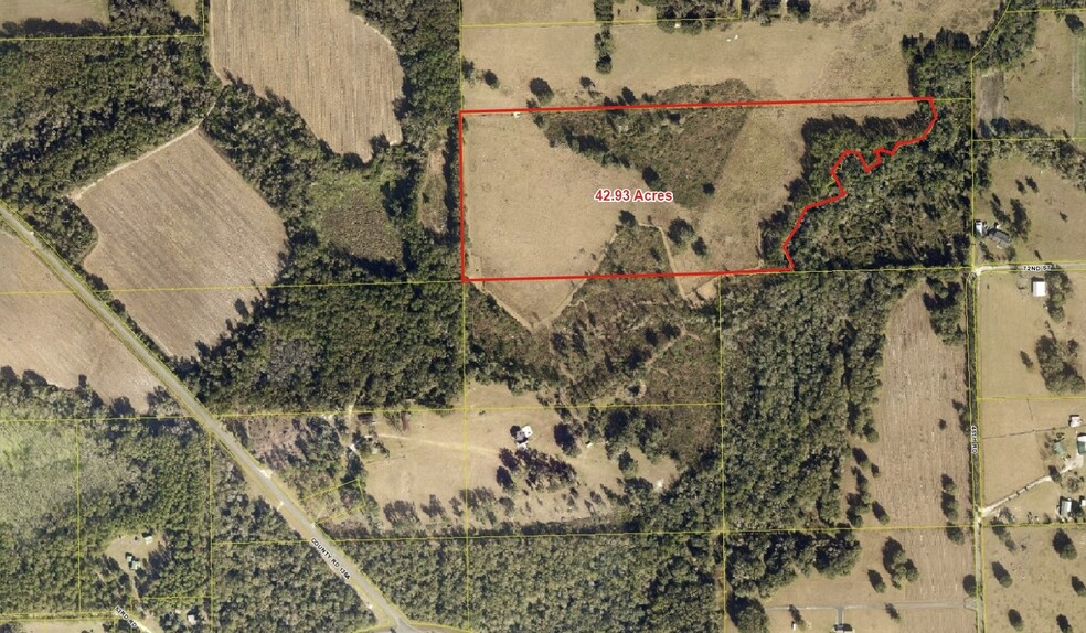 Primary Photo Of Tbd County Road 136A, Live Oak Land For Sale