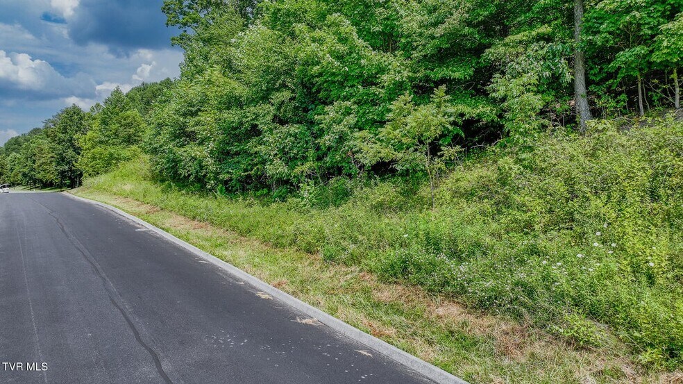More Photos Of 000 Fordtown Rd, Kingsport Land For Sale