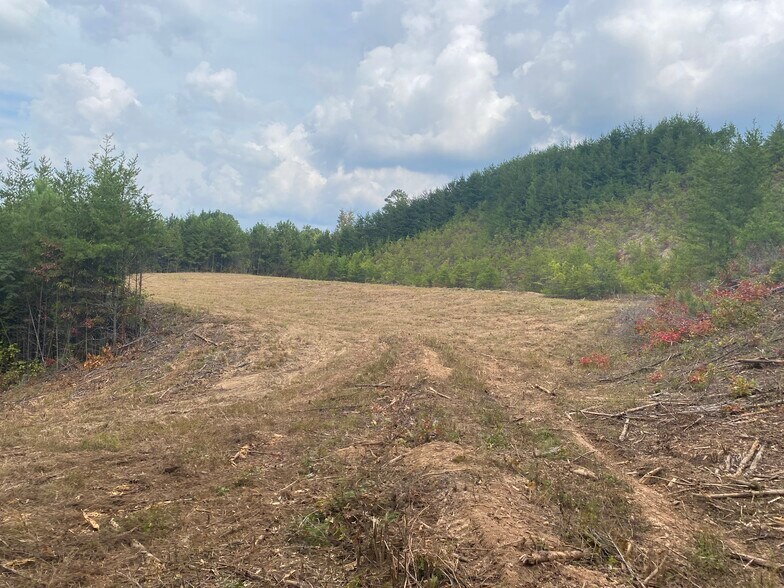More Photos Of 8 First Ave, Ellijay Land For Sale