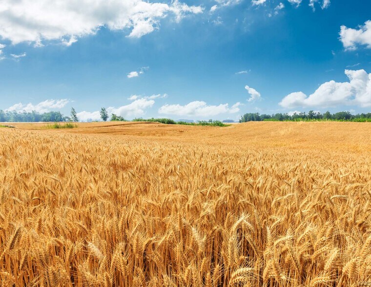 More Photos Of 175th and Highway 169 Hwy, Olathe Distribution For Lease