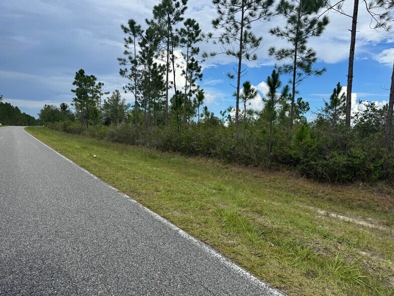 More Photos Of Noah Raulerson Road, Sanderson Land For Sale