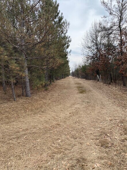 More Photos Of 207 State Highway 13, Nekoosa Land For Sale