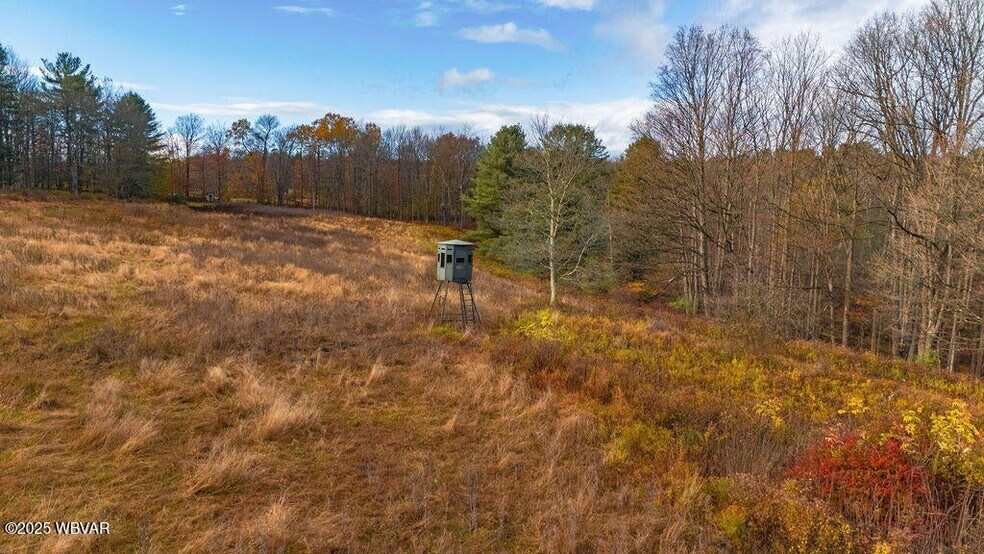 More Photos Of 1382 Bear Mountain Road, Forksville Flex For Sale