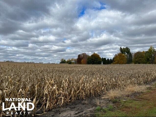 More Photos Of 820 Johnson Ave SW, Cokato Land For Sale