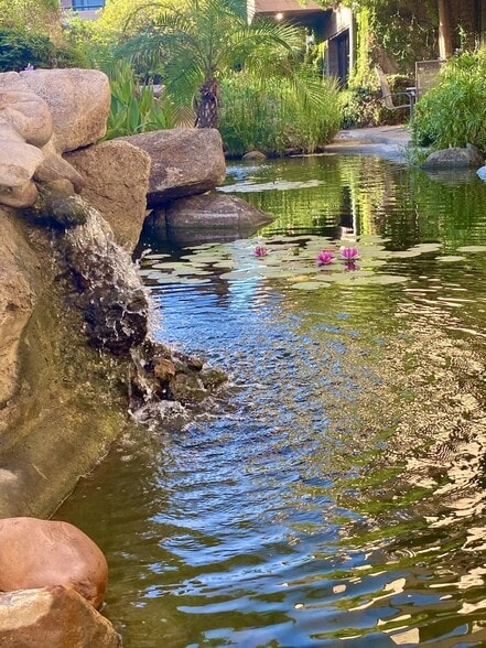 More Photos Of 2025 N 3rd St, Phoenix Unknown For Lease