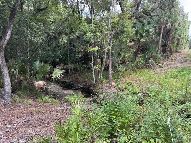 More Photos Of 7707 Holden Park Rd, Hawthorne Land For Sale