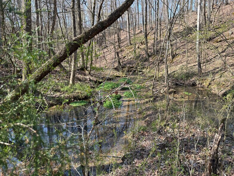 More Photos Of 7312 Highway 60, Georgetown Land For Sale