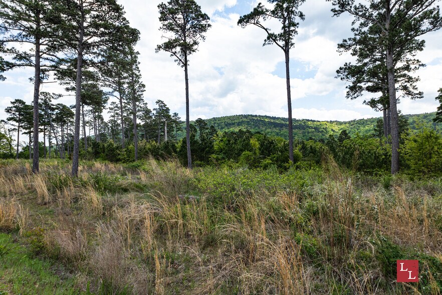 More Photos Of State Highway 43, Clayton Land For Sale