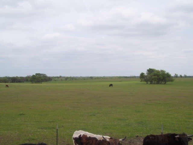 More Photos Of 1201 E Crisp Rd, Ennis Land For Sale