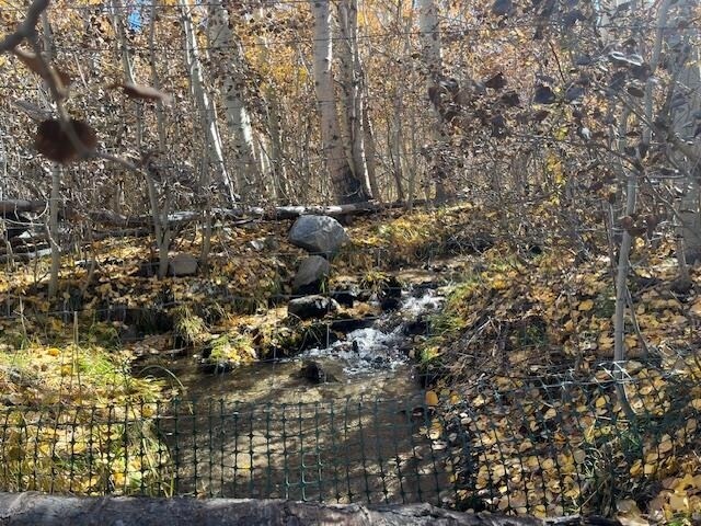 More Photos Of 3927 Crowley Lake Dr, Mammoth Lakes Land For Sale