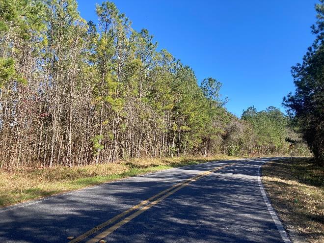 More Photos Of 0 Reid Stafford Road East, Glen Saint Mary Land For Sale