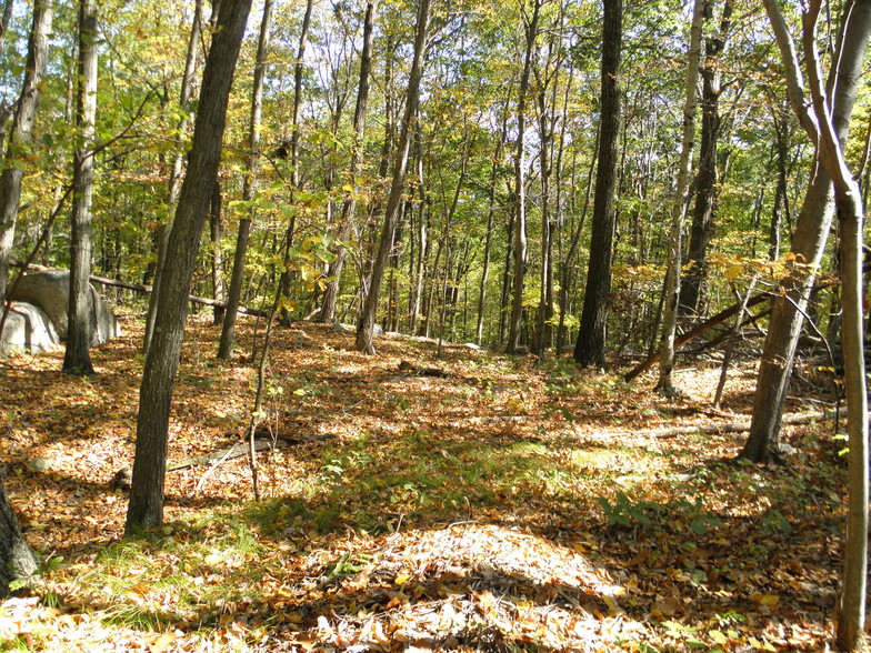 Primary Photo Of Baptist Church Rd @ Old Peckslip Rd, Carmel Land For Sale