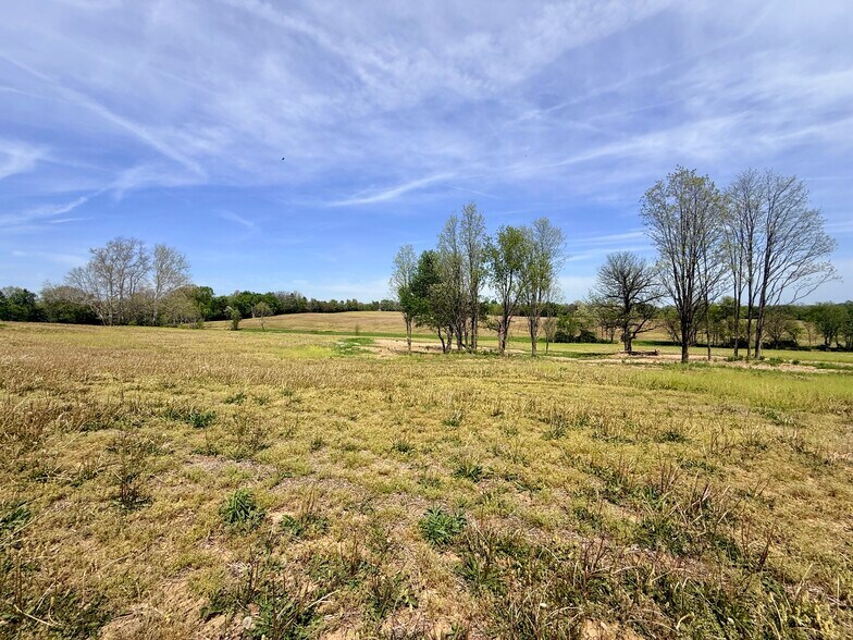 More Photos Of 4132 KY Highway 36 W, Cynthiana Land For Sale