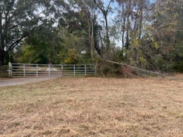 More Photos Of 10602 NW 143rd St, Alachua Land For Sale