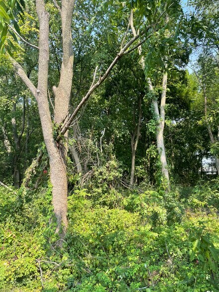 More Photos Of 20908 Grand, Lindenhurst Land For Sale