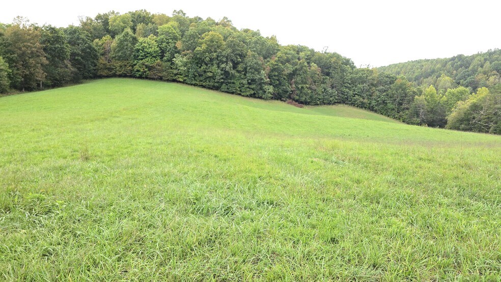 More Photos Of 715 Wheeler Rd, Ewing Land For Sale