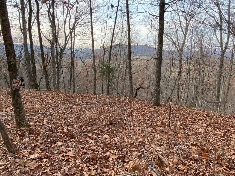 More Photos Of Creel Road @ Hwy 392, Harrison Land For Sale