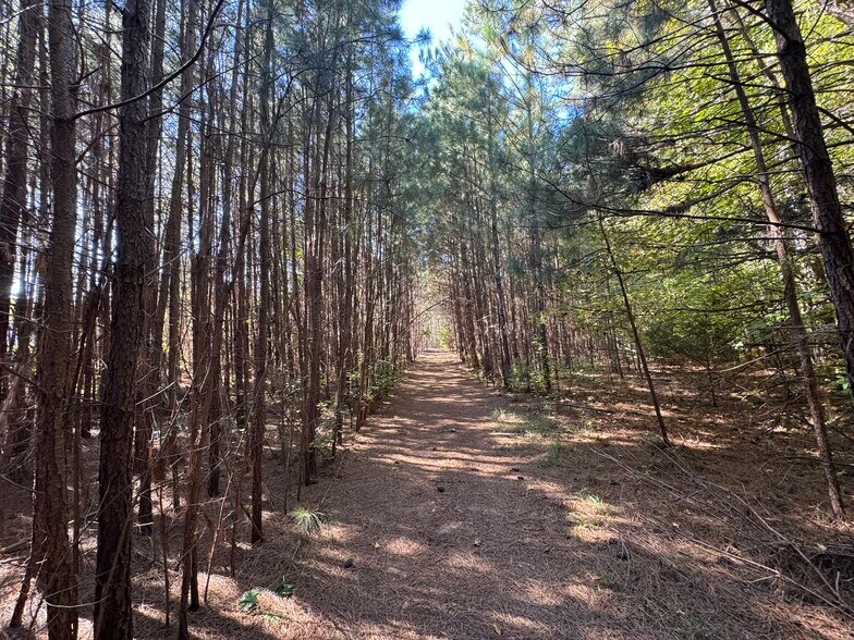 More Photos Of 13828 Lake Bluff Dr, Matthews Land For Sale