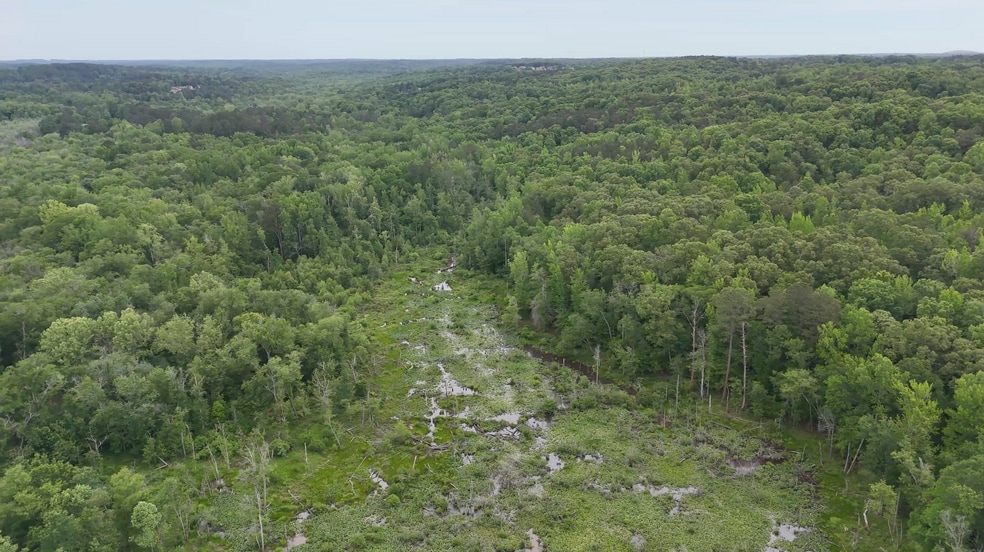 More Photos Of 0 Bullock Bridge Rd, Monroe Land For Sale