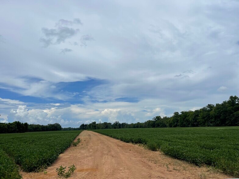 Primary Photo Of 71 Hwy, Colfax Land For Sale