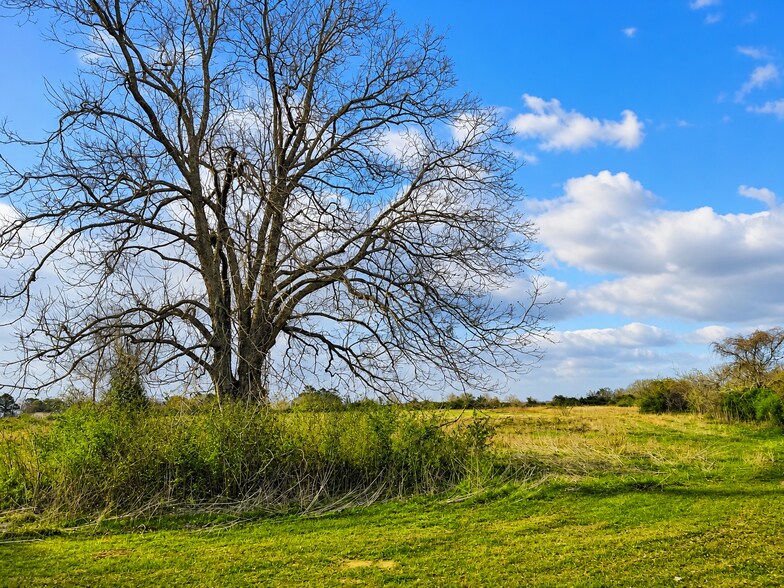 More Photos Of TBD FM 1161 Road, Wharton Land For Sale