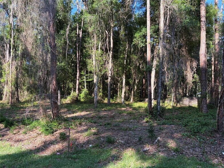 Primary Photo Of 9192 CR 647Cs, Bushnell Land For Sale