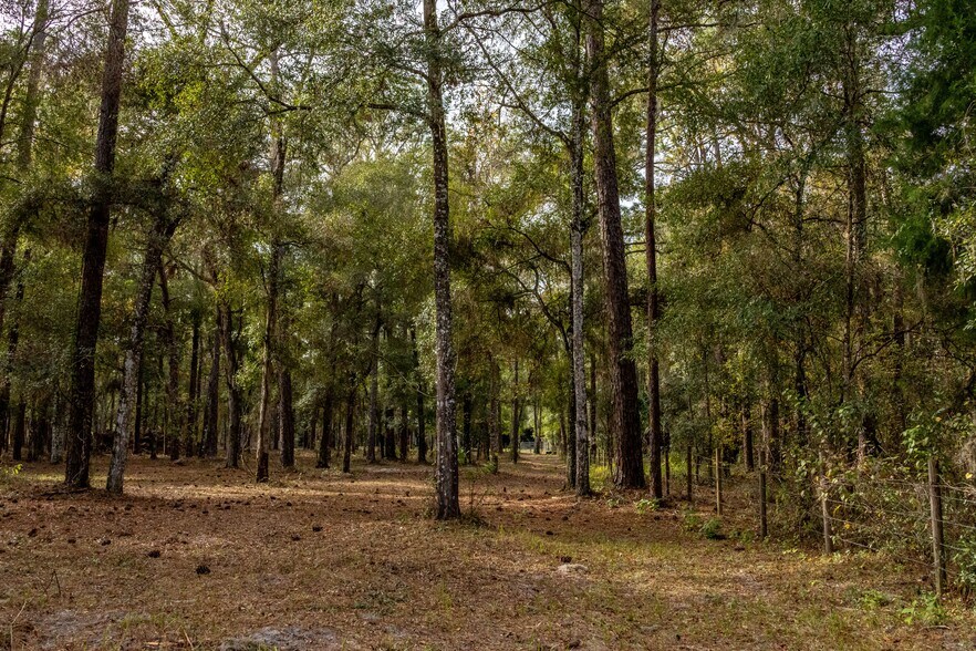 More Photos Of 24091 Richbarn Rd, Brooksville Land For Sale