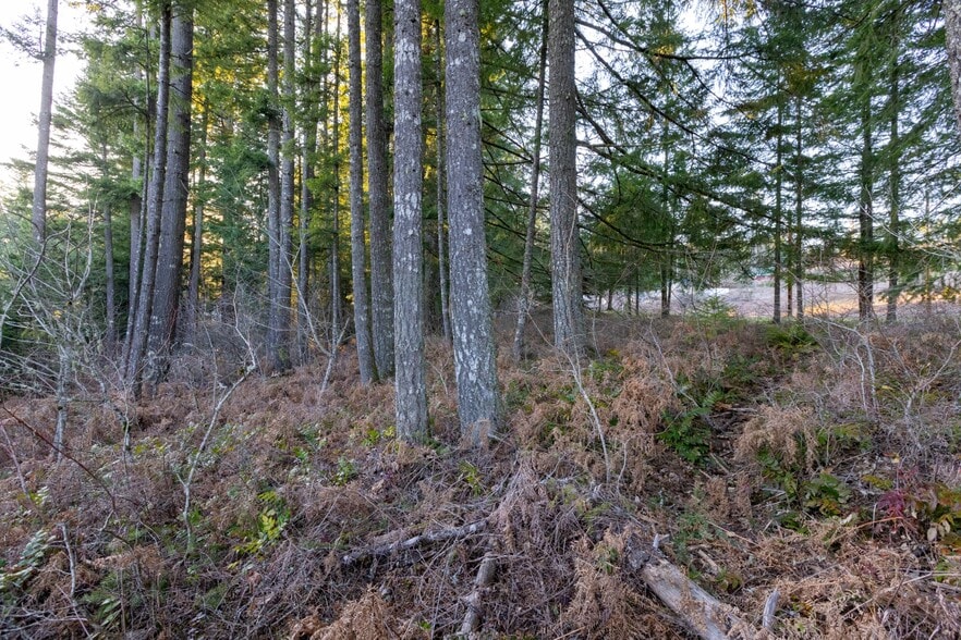 More Photos Of Loop Road, Stevenson Land For Sale