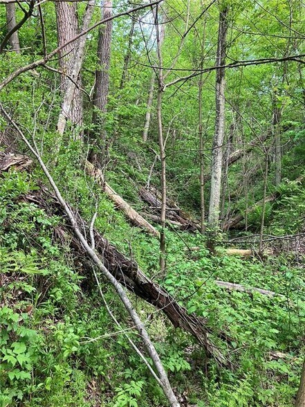 More Photos Of N3953 Bear Pen Rd, Arkansaw Land For Sale