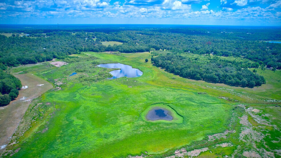 More Photos Of 3267 Neff Lake Rd, Brooksville Land For Sale