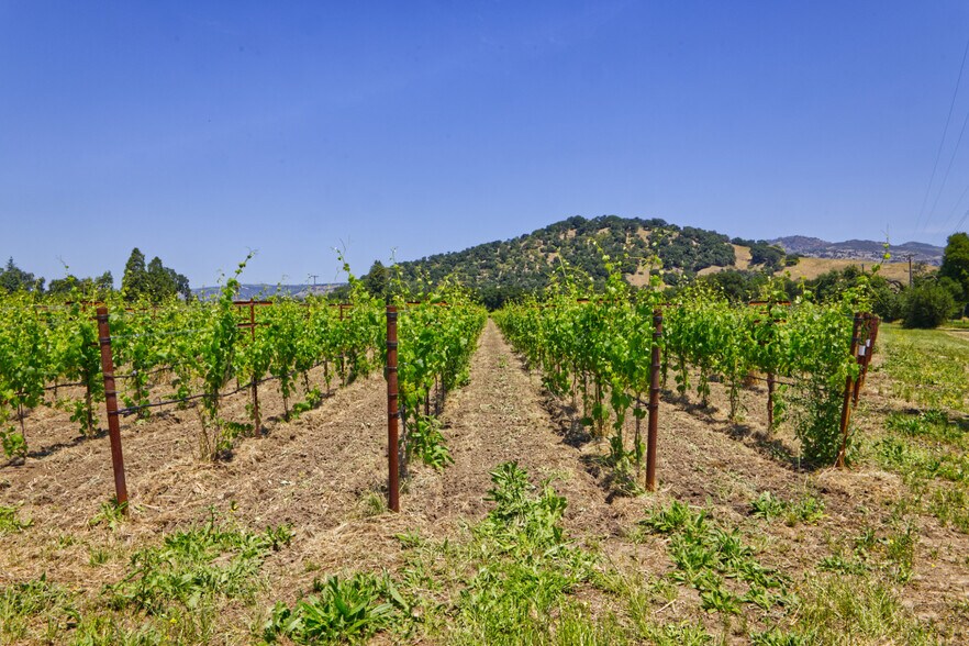 More Photos Of 6160 St Helena hwy, Napa Land For Sale