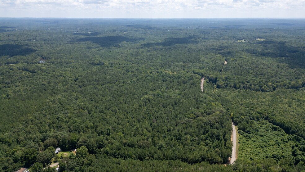 More Photos Of 17796 Dry Branch loop, Northport Land For Sale